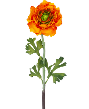 The Artificial Flower Ranunculus 51 cm orange er en kunstig orange ranunculus-blomst med lagdelte kronblade og grønne blade på en lang stilk, perfekt som en dekorativ accent.