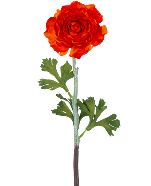 Den kunstige blomst Ranunculus 51 cm mørk orange har en levende mørk orange kunstig ranunculus blomst med lagdelte kronblade og grønne, fligede blade på en lang stilk, mod en almindelig hvid baggrund.