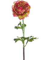 Den Kunstige Blomst Ranunkel 51 cm pink/grøn er en enkelt kunstig ranunkel med lyserøde og grønne kronblade, grønne blade og en lang stilk, mod en hvid baggrund.