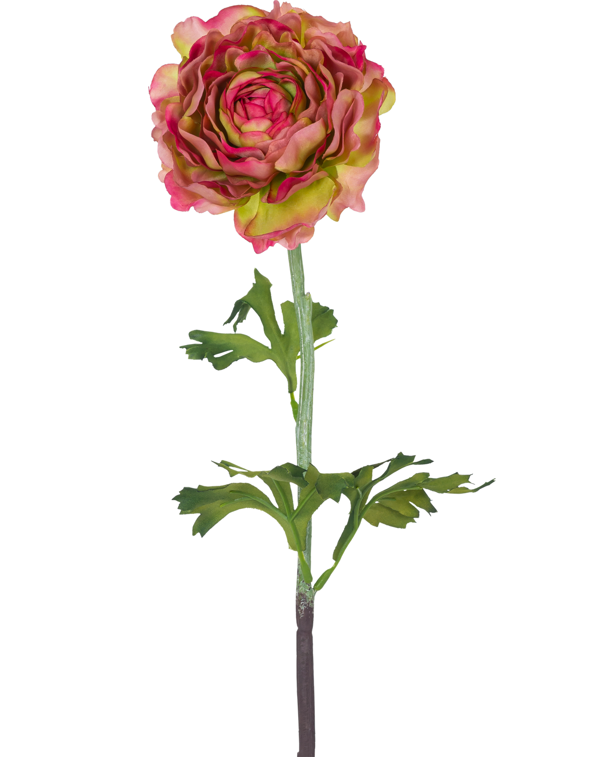 Den Kunstige Blomst Ranunkel 51 cm pink/grøn er en enkelt kunstig ranunkel med lyserøde og grønne kronblade, grønne blade og en lang stilk, mod en hvid baggrund.