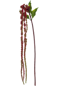Den Kunstige Blomst Amaranthus 122 cm vinrød har en enkelt kunstig amarantstængel med grønne blade og lange klaser af små, vinrøde blomster mod en hvid baggrund.