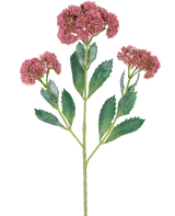 En digital illustration af den kunstige gren Sedum 48 cm rød viser en blomstrende plante med grønne blade og klaser af små, pink-lilla blomster på forgrenede stængler, mod en hvid baggrund.