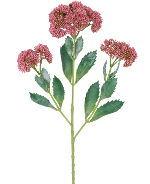En digital illustration af den kunstige gren Sedum 48 cm rød viser en blomstrende plante med grønne blade og klaser af små, pink-lilla blomster på forgrenede stængler, mod en hvid baggrund.