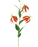Den kunstige blomst Gloriosa Real Touch Red 75 cm har en enkelt stilk med tre levende røde og gule liljeblomster og lange grønne blade, mod en hvid baggrund.