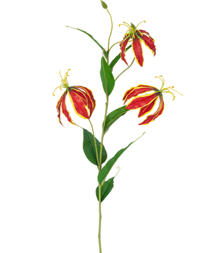 Den kunstige blomst Gloriosa Real Touch Red 75 cm har en enkelt stilk med tre levende røde og gule liljeblomster og lange grønne blade, mod en hvid baggrund.