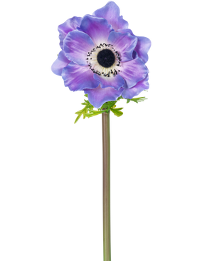 Artificial Flower Anemone Deluxe 43 cm lilla har en enkelt lilla anemone med et mørkt hjerte og sarte kronblade på en lang grøn stilk, afbildet isoleret mod en hvid baggrund.