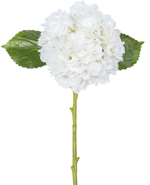 Artificial Flower Hydrangea Real Touch White 49 cm har en enkelt hvid hortensia med runde, fyldige kronblade, to store grønne blade og en lang stilk, mod en almindelig hvid baggrund.