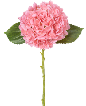 Den kunstige blomst Charlotte Hortensia Real Touch Pink 49 cm har en enkelt pink hortensia med tætte, runde klaser af kronblade, to grønne blade og en lang grøn stilk på hvid baggrund.