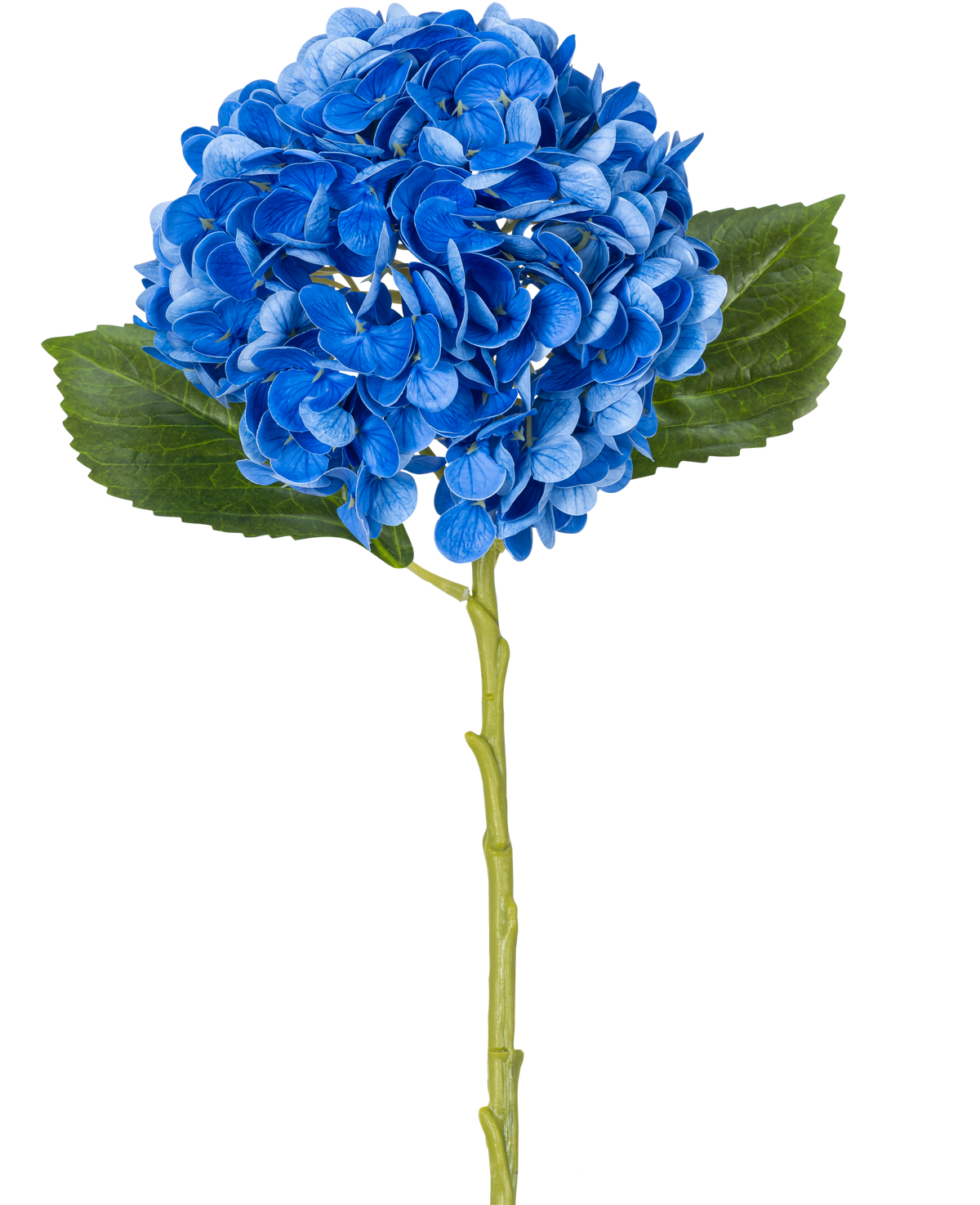 Den kunstige blomst Charlotte Hortensia Real Touch Blue 49 cm er en enkelt blå hortensia med grønne blade og en lang stilk, afbildet på en hvid baggrund.