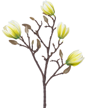 En Kunstig Blomst Magnolia 50 cm hvid/grøn med fire gul-hvide blomster og et antal luftige brune knopper mod hvid baggrund.