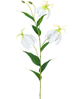 Den kunstige blomst Gloriosa Real Touch White 75 cm har en enkelt grøn stilk med tre åbne hvide Gloriosa blomster, to knopper, lange gule støvdragere og aflange grønne blade mod en almindelig hvid baggrund.