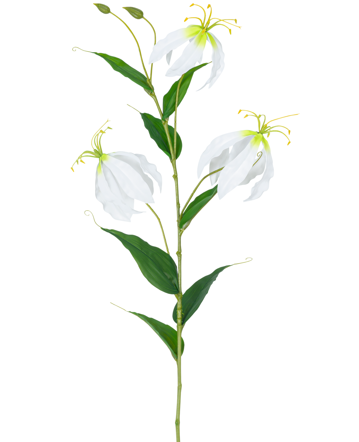 Den kunstige blomst Gloriosa Real Touch White 75 cm har en enkelt grøn stilk med tre åbne hvide Gloriosa blomster, to knopper, lange gule støvdragere og aflange grønne blade mod en almindelig hvid baggrund.