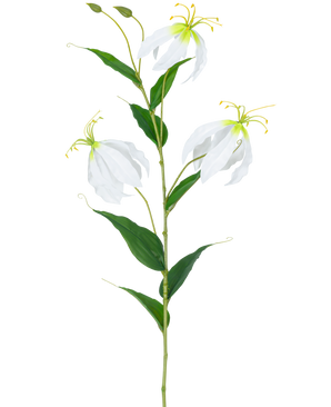 Den kunstige blomst Gloriosa Real Touch White 75 cm har en enkelt grøn stilk med tre åbne hvide Gloriosa blomster, to knopper, lange gule støvdragere og aflange grønne blade mod en almindelig hvid baggrund.