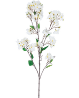 Den kunstige blomst Bougainvillea 120 cm hvid er en kunstig blomsterstængel med flere brune grene, grønne blade og klaser af hvide blomster med gule centre, afbildet på en hvid baggrund.