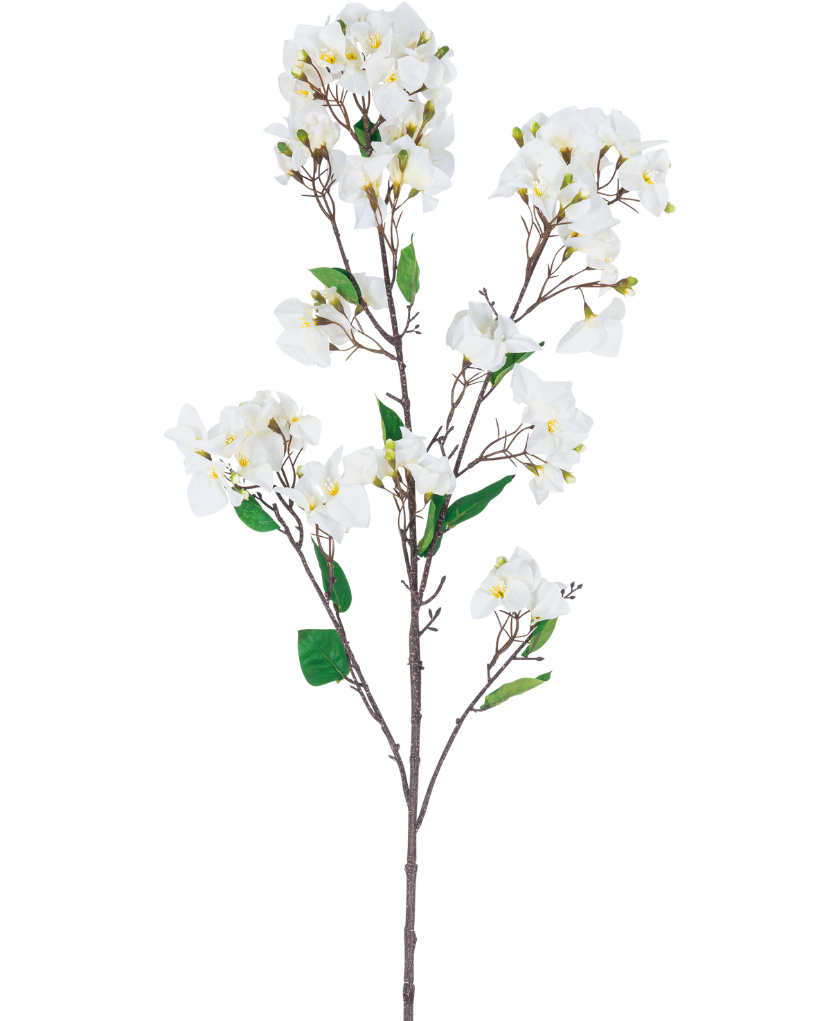 Den kunstige blomst Bougainvillea 120 cm hvid er en kunstig blomsterstængel med flere brune grene, grønne blade og klaser af hvide blomster med gule centre, afbildet på en hvid baggrund.