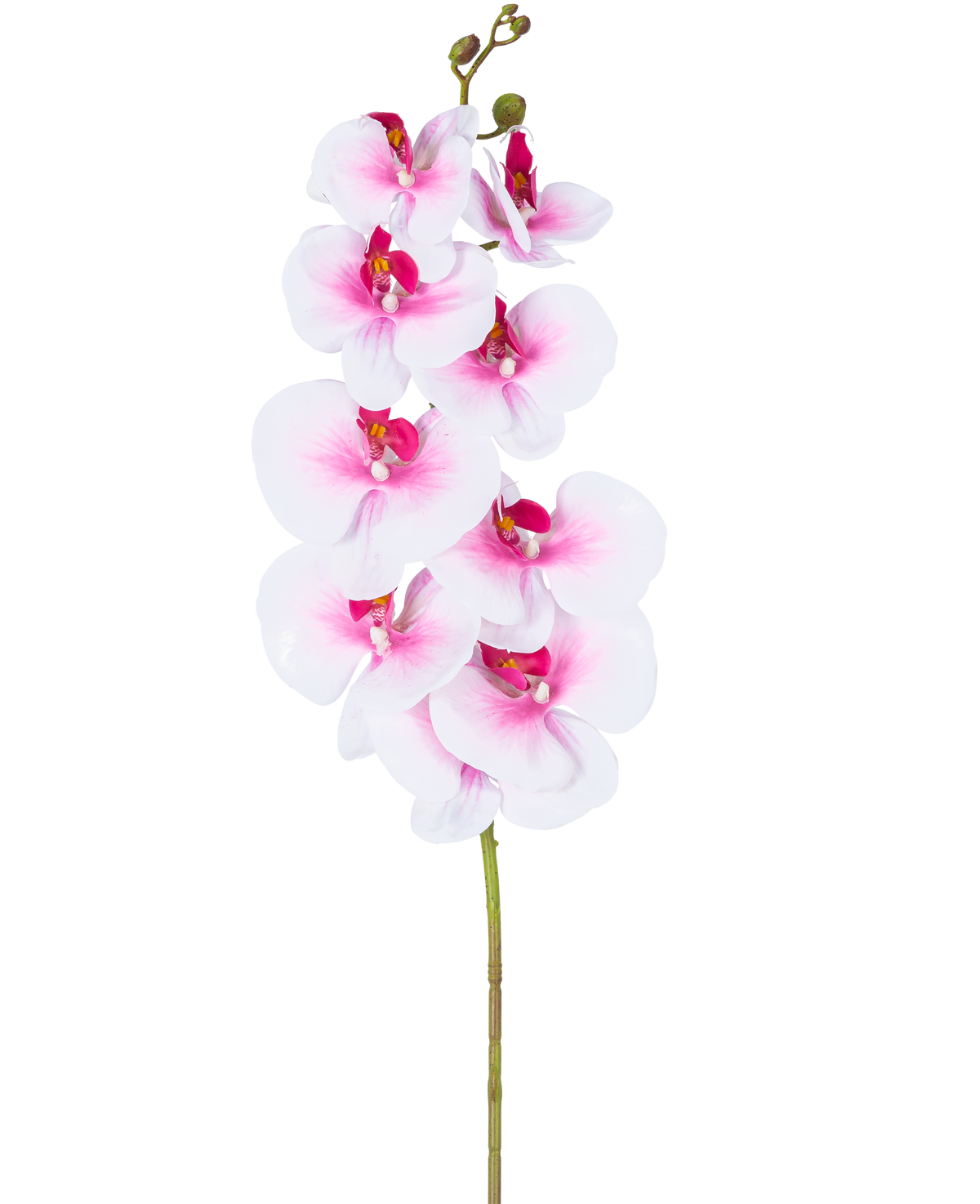 Artificial Orchid Real Touch Deluxe 105 cm pink/hvid har en enkelt pink kunstig phalaenopsis stilk med hvide accenter, realistiske silkeblomster og knopper, alt elegant vist på en hvid baggrund.