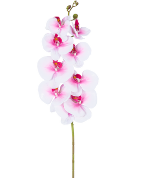 Artificial Orchid Real Touch Deluxe 105 cm pink/hvid har en enkelt pink kunstig phalaenopsis stilk med hvide accenter, realistiske silkeblomster og knopper, alt elegant vist på en hvid baggrund.