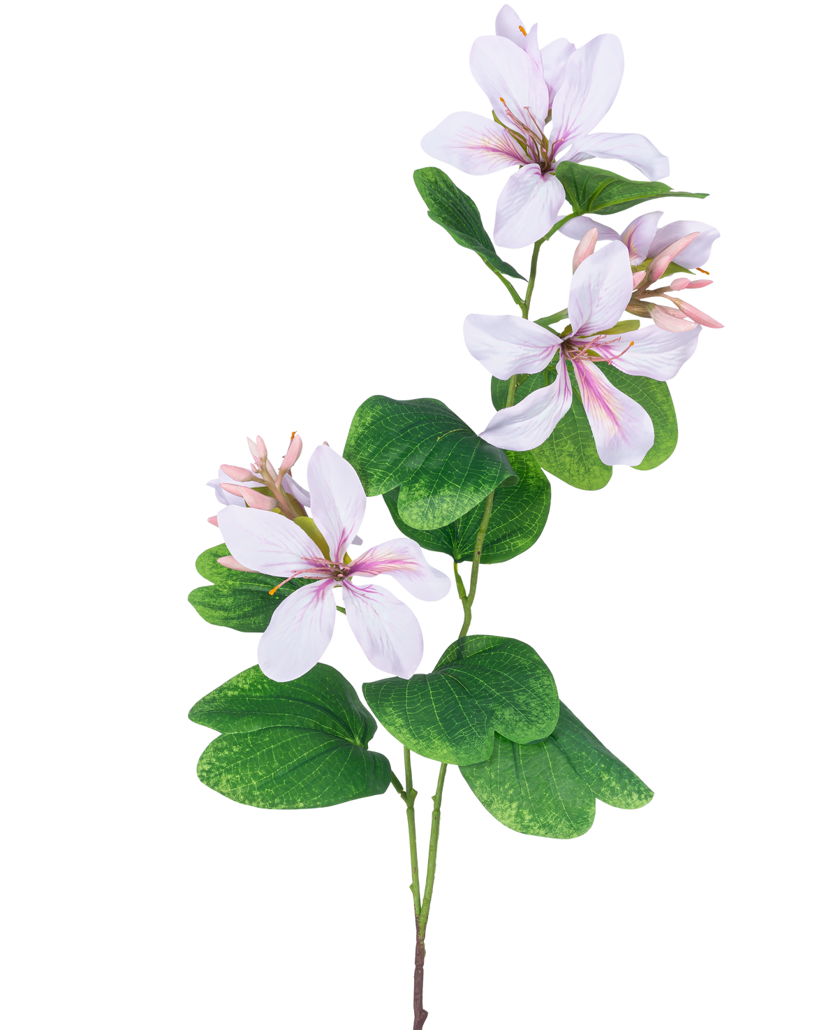 Artificial Flower Rhododendron 85 cm lys pink har en slank grøn stilk med klaser af store, hvide blomster med lys pink hjerter og årer, fremhævet af brede grønne blade, mod en hvid baggrund.
