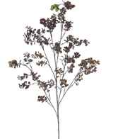 Den kunstige gren Eucalyptus bær 110 cm brun har en høj gren med flere tynde stængler, små runde blade og klaser af grønbrune bær mod en almindelig hvid baggrund.