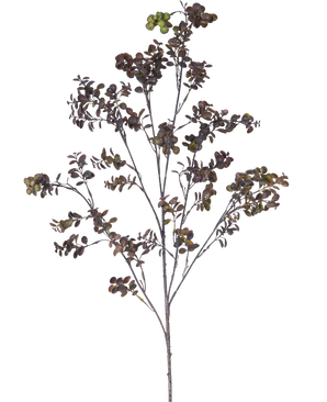 Den kunstige gren Eucalyptus bær 110 cm brun har en høj gren med flere tynde stængler, små runde blade og klaser af grønbrune bær mod en almindelig hvid baggrund.