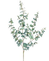 Den kunstige eukalyptus 120 cm har flere tynde stængler og runde, blågrønne blade mod en almindelig hvid baggrund.