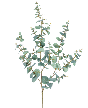 Den kunstige eukalyptus 120 cm har flere tynde stængler og runde, blågrønne blade mod en almindelig hvid baggrund.