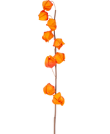 En enkelt stilk af kunstig blomst Physalis Lampion 90 cm orange, med flere lys orange, lanterneformede bælg, er vist mod en almindelig hvid baggrund.