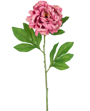 Artificial Flower Peony 77 cm pink har en enkelt pink pæon med lagdelte kronblade og grønne blade på en lang, slank stilk mod en hvid baggrund.