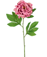 Artificial Flower Peony 77 cm pink har en enkelt pink pæon med lagdelte kronblade og grønne blade på en lang, slank stilk mod en hvid baggrund.