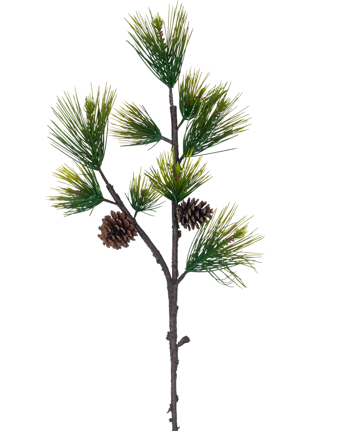 Artificial Branch Black Pine 100 cm grøn har lange, slanke grønne fyrrenåle og to brune fyrrekogler mod en almindelig hvid baggrund.
