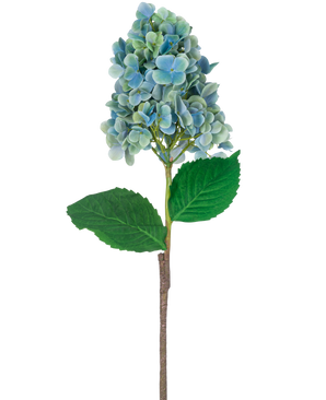 En enkelt stilk af kunstig hortensia 93 cm blå med blå og grønne hortensia blomster med frodige grønne blade, isoleret på en hvid baggrund.