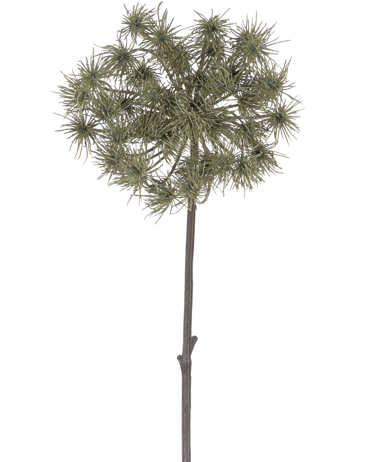 Artificial Flower Hogweed 100 cm er en enkelt kunstig stilk med klynger af tjavsede, grøngrå blomsterhoveder, der står oprejst mod en almindelig hvid baggrund.