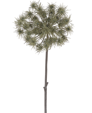 Artificial Flower Hogweed 100 cm er en enkelt kunstig stilk med klynger af tjavsede, grøngrå blomsterhoveder, der står oprejst mod en almindelig hvid baggrund.
