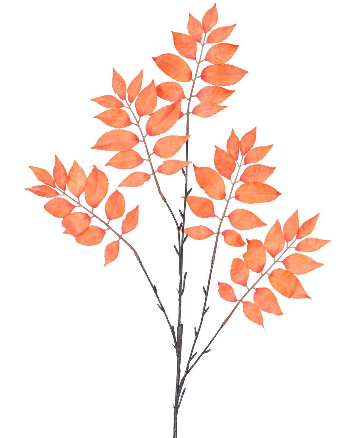 Den kunstige grenbregne forgrenet 83 cm orange har tre bundter af tynde, mørke stængler med talrige orangerøde, ovale blade, der er symmetriske i en åben spredning mod en hvid baggrund.