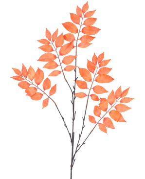 Den kunstige grenbregne forgrenet 83 cm orange har tre bundter af tynde, mørke stængler med talrige orangerøde, ovale blade, der er symmetriske i en åben spredning mod en hvid baggrund.