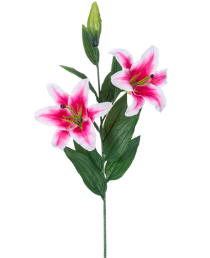 Den kunstige blomsterlilje 85 cm pink har to blomstrende lyserøde og hvide liljer, en lukket knop og en række lange grønne blade, smukke mod en hvid baggrund.
