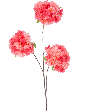 En enkelt tynd brun stilk af den kunstige gren kirsebærblomst 85 cm koral indeholder tre bundter af levende lyserøde og koralkirsebærblomster med grønne blade på en almindelig hvid baggrund.