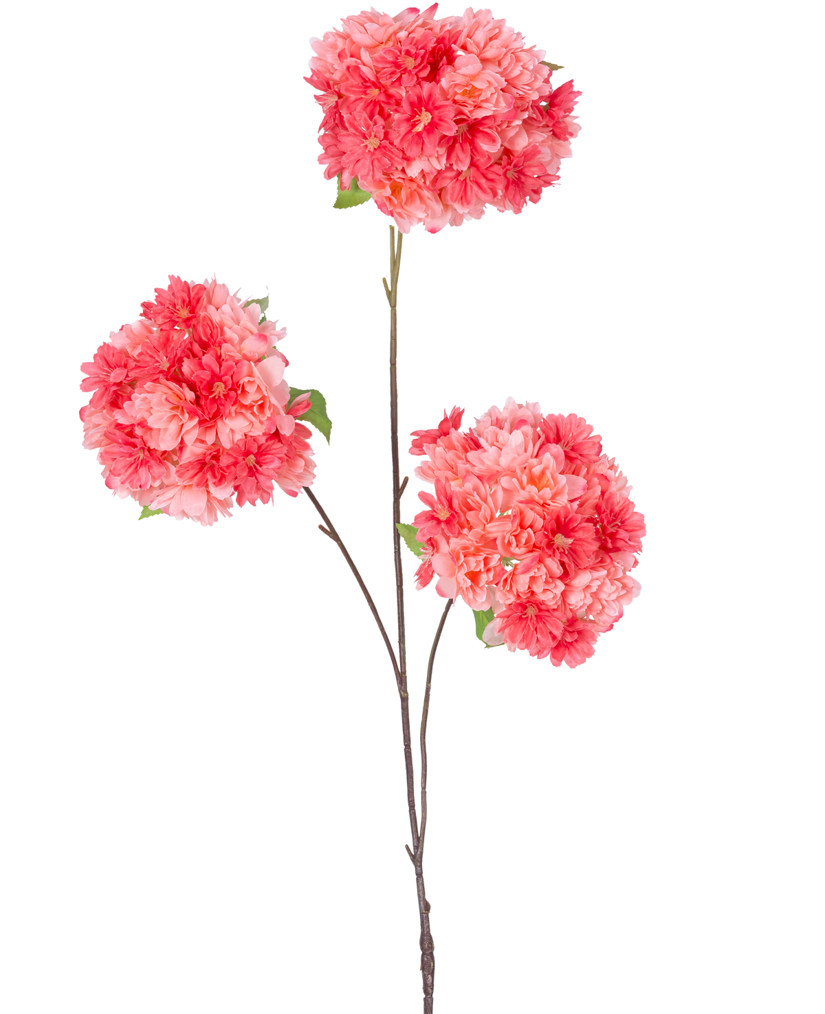 En enkelt tynd brun stilk af den kunstige gren kirsebærblomst 85 cm koral indeholder tre bundter af levende lyserøde og koralkirsebærblomster med grønne blade på en almindelig hvid baggrund.