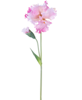Artificial Flower Iris 80 cm pink har en enkelt pink irisstamme med flæser i kronbladene og en lukket knop, mod en almindelig hvid baggrund.