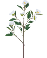 Den Kunstige Blomst Camellia 80 cm hvid har en enkelt gren med flere grønne blade og flere blomstrende hvide blomster mod en almindelig hvid baggrund.