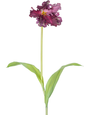 Artificial Flower French Parakeet Tulip 76 cm lilla er en enkelt kunstig lilla tulipan med flæser i kronbladene og to aflange grønne blade på en lang stilk, mod en almindelig hvid baggrund.