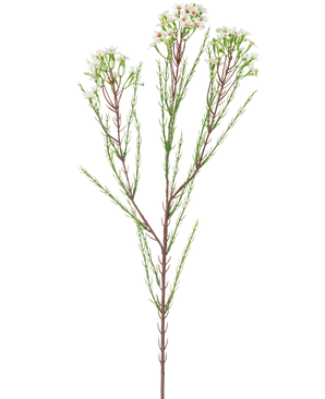 Artificial Branch Waxflower 78 cm cremen har en enkelt høj stilk med tynde grønne blade og bundter af små, cremede hvide blomster på toppen, mod en almindelig, lys baggrund.