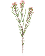 Artificial Branch Waxflower 78 cm pink har en enkelt stilk med tynde grønne blade og flere bundter af små, lyserøde blomster i toppen, mod en hvid baggrund.
