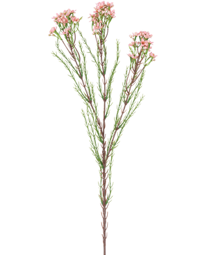Artificial Branch Waxflower 78 cm pink har en enkelt stilk med tynde grønne blade og flere bundter af små, lyserøde blomster i toppen, mod en hvid baggrund.