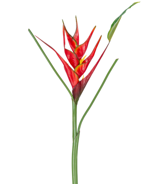 Den kunstige blomst Heliconia 90 cm rød har en enkelt kunstig Heliconia-blomst med livlige røde og gule dækblade på en lang grøn stilk, komplet med slanke blade, perfekt til udstilling på en hvid baggrund.