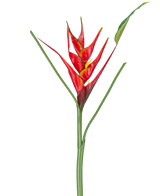 Den kunstige blomst Heliconia 90 cm rød har en enkelt kunstig Heliconia-blomst med livlige røde og gule dækblade på en lang grøn stilk, komplet med slanke blade, perfekt til udstilling på en hvid baggrund.