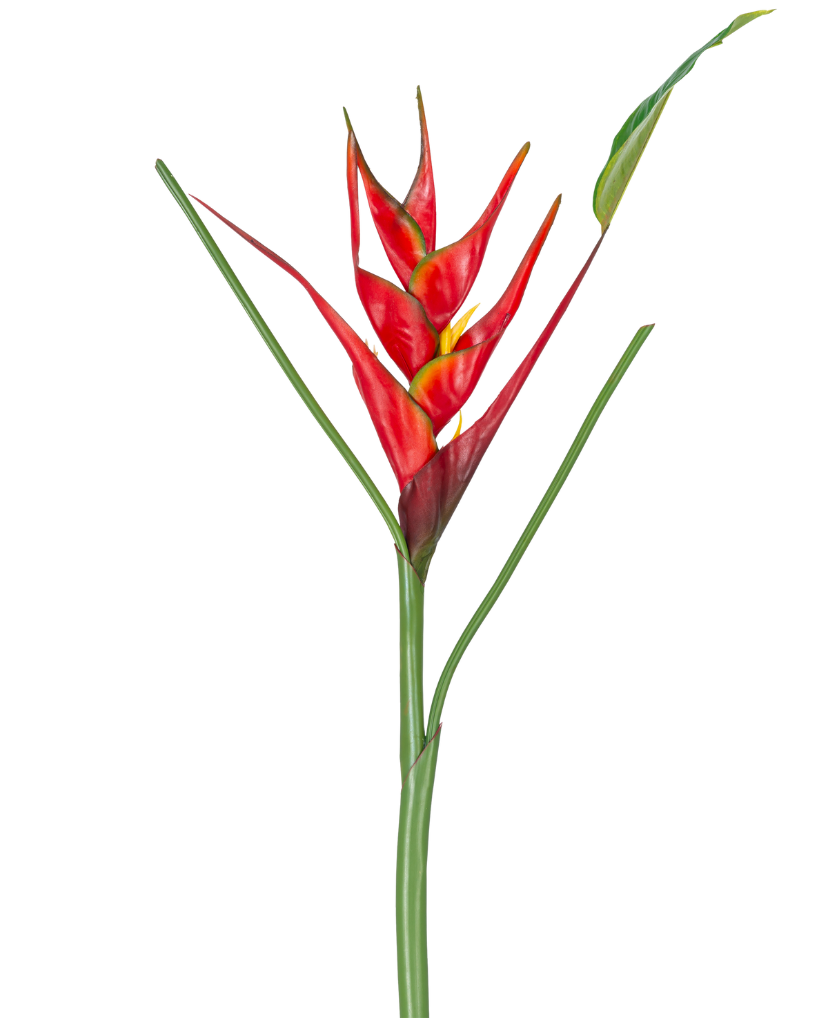 Den kunstige blomst Heliconia 90 cm rød har en enkelt kunstig Heliconia-blomst med livlige røde og gule dækblade på en lang grøn stilk, komplet med slanke blade, perfekt til udstilling på en hvid baggrund.