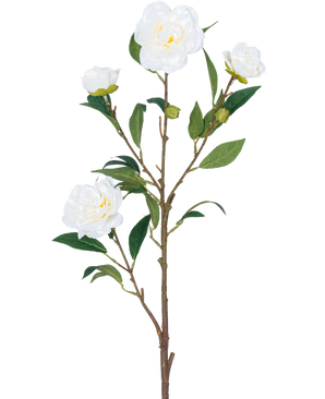 Artificial Flower Camellia 80 cm hvid har en enkelt brun stilk med flere grønne blade og flere hvide camellia blomster, nogle i blomst og andre i knopform, alt sammen mod en almindelig hvid baggrund.