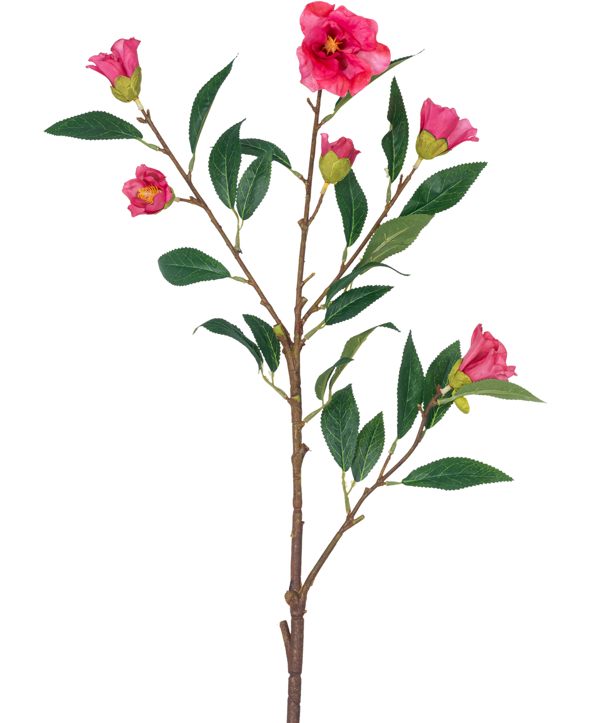 Artificial Flower Camellia 80 cm pink er en enkelt stilk med flere grene, grønne blade og flere lyserøde blomster og knopper, isoleret på en hvid baggrund.