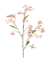 En enkelt stilk af den kunstige blomst Daphne på 108 cm i gammelrosa, med små bundter af bløde lyserøde blomster og nogle grønne blade mod en hvid baggrund.